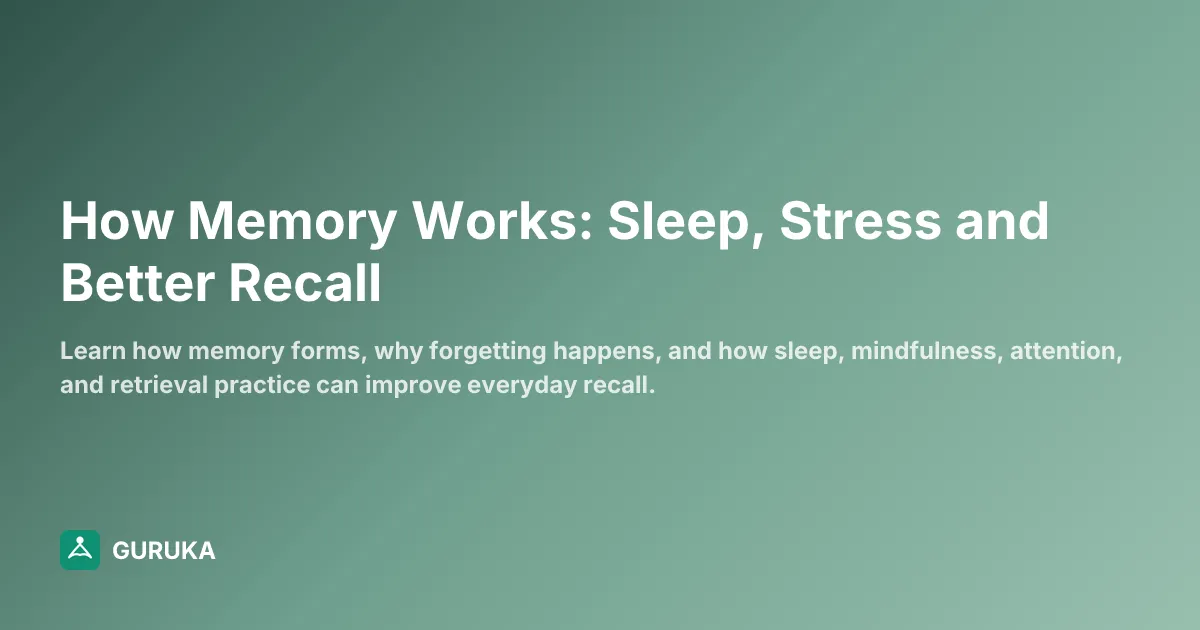How Memory Works: Sleep, Stress and Better Recall